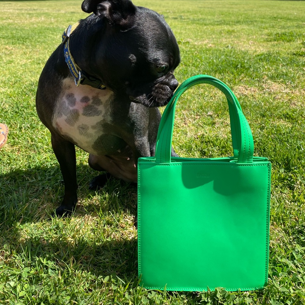 Baggu Small Leather Retail Tote in Leaf